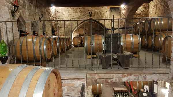 wine cellar tuscany italy