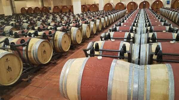 Tuscany Wine cellar